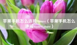 苹果手机怎么连接itunes（苹果手机怎么连接itunes store）