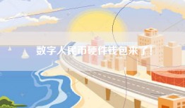 数字人民币硬件钱包来了！