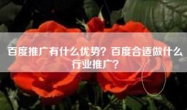 百度推广有什么优势？百度合适做什么行业推广？