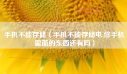 手机不能存储（手机不能存储电,修手机里面的东西还有吗）