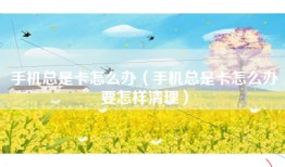 手机总是卡怎么办（手机总是卡怎么办要怎样清理）