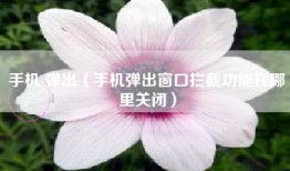 手机 弹出（手机弹出窗口拦截功能在哪里关闭）