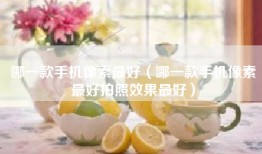 哪一款手机像素最好（哪一款手机像素最好拍照效果最好）