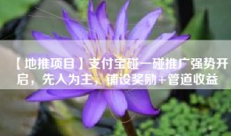 【地推项目】支付宝碰一碰推广强势开启，先入为主，铺设奖励+管道收益
