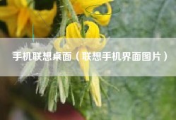 手机联想桌面（联想手机界面图片）