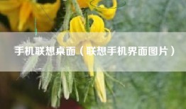 手机联想桌面（联想手机界面图片）
