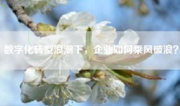 数字化转型浪潮下，企业如何乘风破浪？