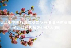2020年中国互联网发展及应用用户规模概况：网民规模为9.89亿人[图]
