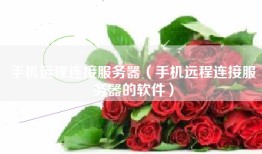手机远程连接服务器（手机远程连接服务器的软件）