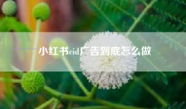 小红书cid广告到底怎么做