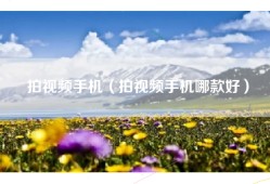 拍视频手机（拍视频手机哪款好）