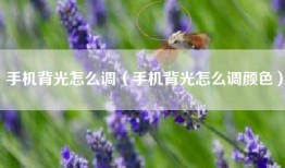 手机背光怎么调（手机背光怎么调颜色）