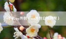 手机app外包(app外包公司开发)