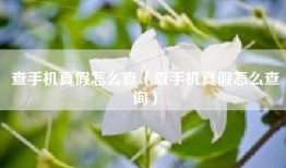 查手机真假怎么查（查手机真假怎么查询）