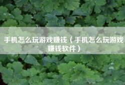 手机怎么玩游戏赚钱（手机怎么玩游戏赚钱软件）