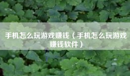 手机怎么玩游戏赚钱（手机怎么玩游戏赚钱软件）