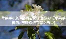 苹果手机的id密码忘记了怎么办（苹果手机的id密码忘记了怎么办xr）