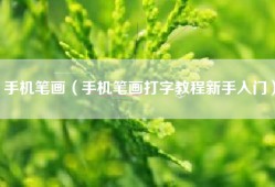 手机笔画（手机笔画打字教程新手入门）