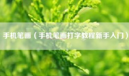 手机笔画（手机笔画打字教程新手入门）
