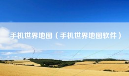 手机世界地图（手机世界地图软件）