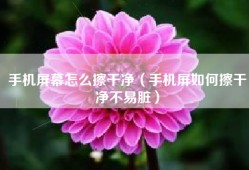 手机屏幕怎么擦干净（手机屏如何擦干净不易脏）