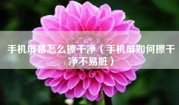 手机屏幕怎么擦干净（手机屏如何擦干净不易脏）