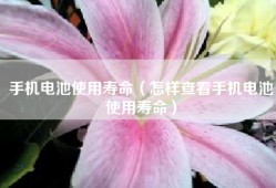 手机电池使用寿命（怎样查看手机电池使用寿命）