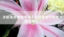 手机电池使用寿命（怎样查看手机电池使用寿命）