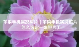 苹果手机实况照片（苹果手机实况照片怎么选定一张照片）