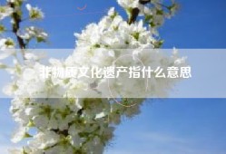 非物质文化遗产指什么意思