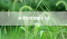 数字化转型是什么？