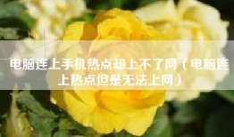电脑连上手机热点却上不了网（电脑连上热点但是无法上网）