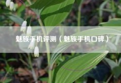 魅族手机评测（魅族手机口碑）