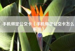 手机绑定公交卡（手机绑定公交卡怎么解除）