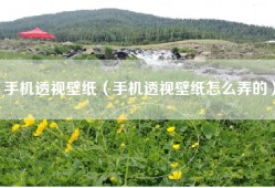 手机透视壁纸（手机透视壁纸怎么弄的）