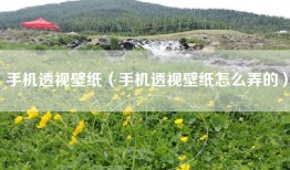 手机透视壁纸（手机透视壁纸怎么弄的）