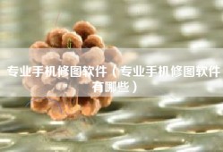 专业手机修图软件（专业手机修图软件有哪些）