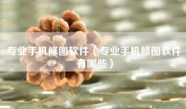 专业手机修图软件（专业手机修图软件有哪些）