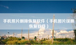 手机照片删除恢复软件（手机图片误删恢复软件）