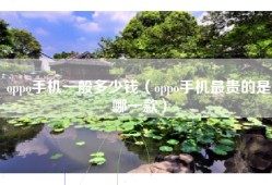 oppo手机一般多少钱（oppo手机最贵的是哪一款）