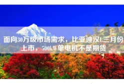 面向30万级市场需求，比亚迪汉L三月份上市，500kW单电机不是期货