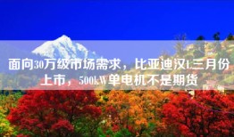 面向30万级市场需求，比亚迪汉L三月份上市，500kW单电机不是期货