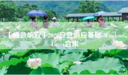 【应急响应】2020应急响应基础-Windows、Linux合集