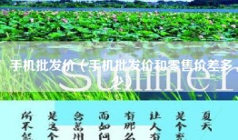 手机批发价（手机批发价和零售价差多少）