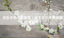学生平价手机推荐（学生平价手机哪款性价比高）
