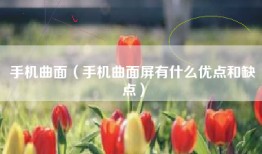 手机曲面（手机曲面屏有什么优点和缺点）