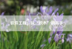 软件工程：玩“积木”的高手