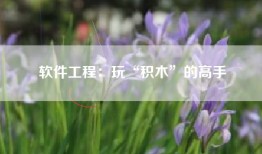 软件工程：玩“积木”的高手