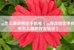 qq怎么修改绑定手机号（qq修改绑定手机号怎么辅助好友验证）