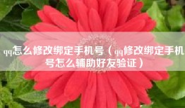 qq怎么修改绑定手机号(qq修改绑定手机号怎么辅助好友验证)